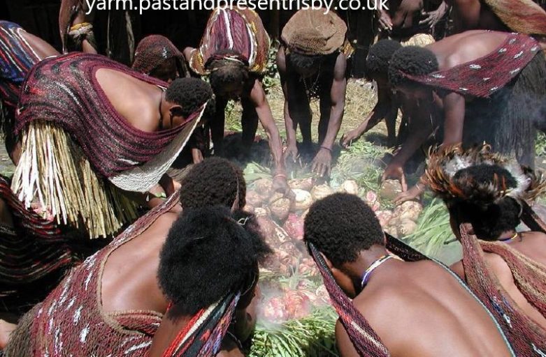 Tradisi Bakar Batu Papua  Simbol Persatuan Masyarakat